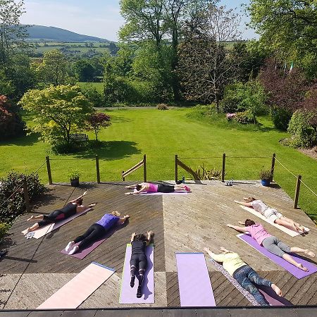 Creacon Wellness Retreat Hotel New Ross Esterno foto