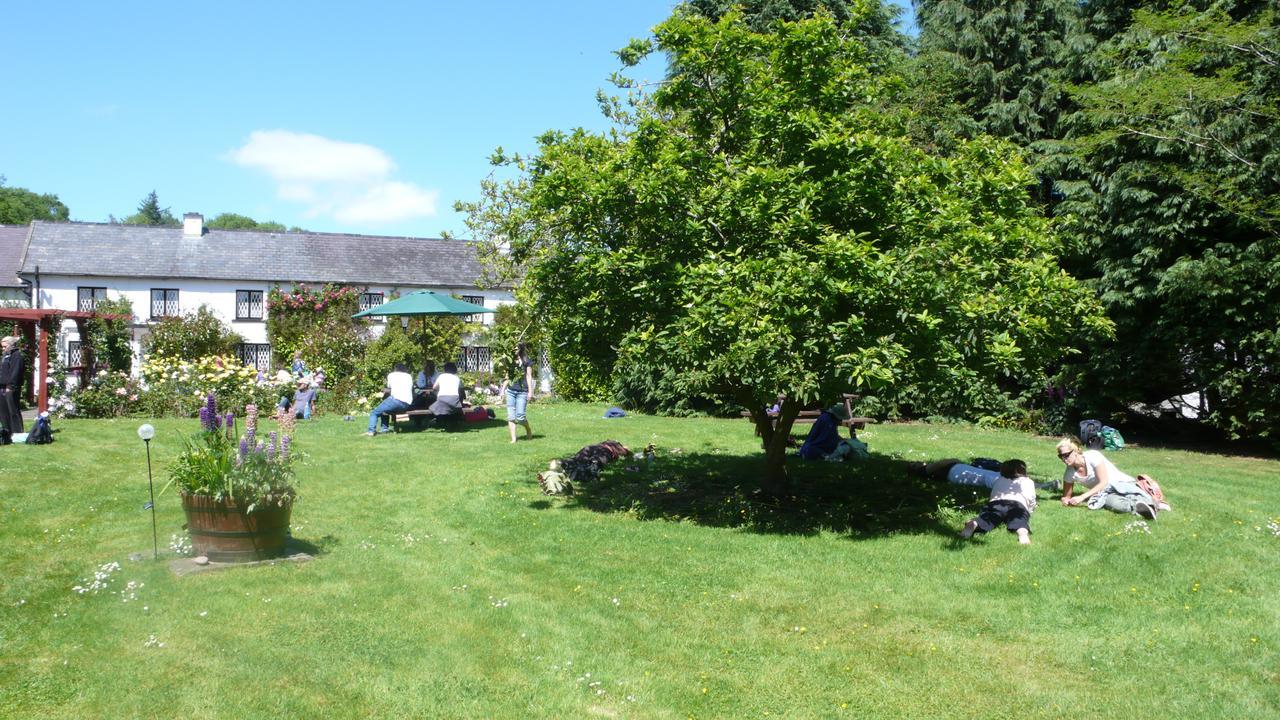 Creacon Wellness Retreat Hotel New Ross Esterno foto