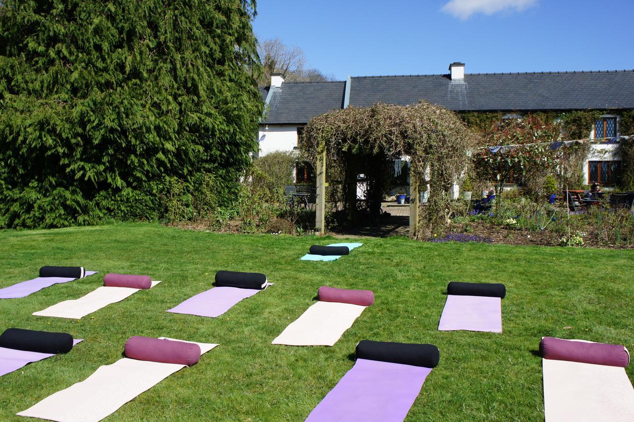 Creacon Wellness Retreat Hotel New Ross Esterno foto